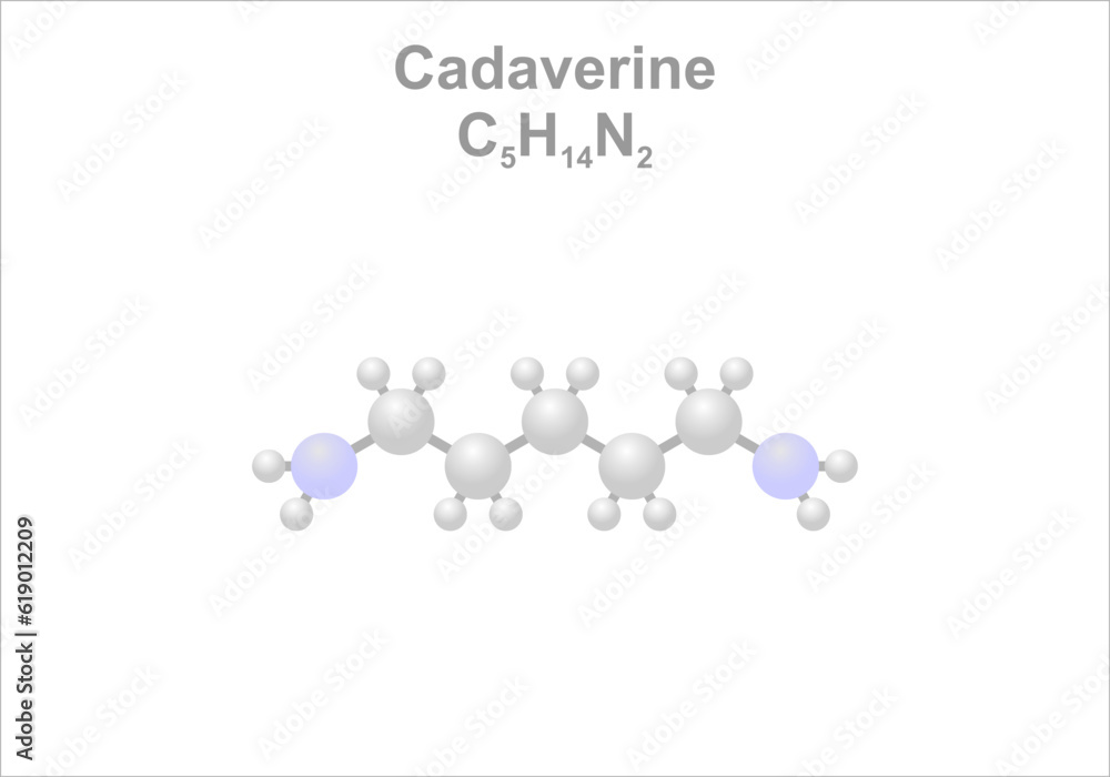Simplified scheme of the cadaverine molecule. Component of cadaveric poison. Simplified scheme of the cadaverine molecule. Component of cadaveric poison.