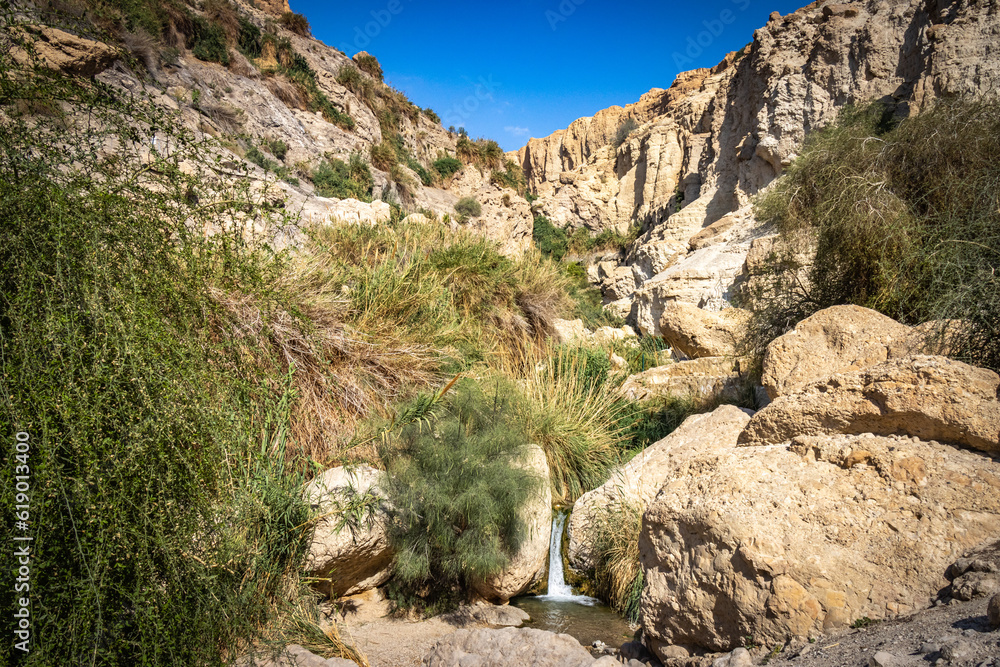 ein gedi, oasis, dead sea, waterfalls, middle east, israel, beach, salt