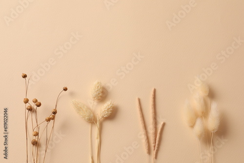 dry flowers on yellow background