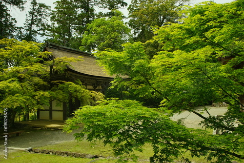 青もみじが映える初夏の西明寺 （滋賀県犬上郡甲良町, 2022年5月） photo