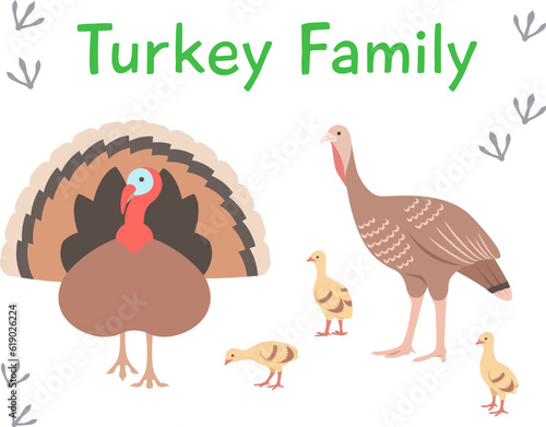 Turkey family, tom and hen with poults in different poses. Flat vector cartoon illustration. Isolated on white. Domestic farm livestock birds, poultry, male and female with offspring. Full length