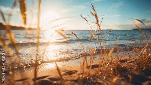 Fototapeta Naklejka Na Ścianę i Meble -  reeds at sunset coast