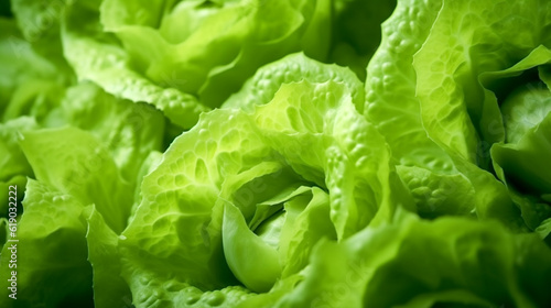 Iceberg lettuce background collection of healthy food fruit and vegetables, natural background of fresh Iceberg lettuce representing concept of organic vegetables , healthy eating, fresh ingredient