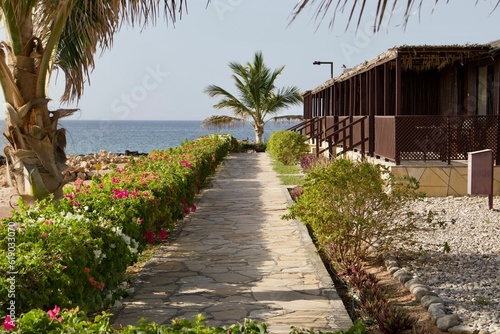 Scenic view of a wooden porch on the beach with palm trees on a sunny day