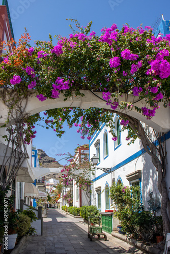Street of Puerto de Mogán with its white houses with the frames of doors and windows painted in bright colors. Multiple bougainvillea and trees. Charming town, Gran Canaria, Spain photo