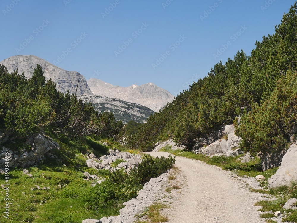 Trail in Karst plateau in the Dachstein group near lake Hallstatt in Salzkammergut, Austria