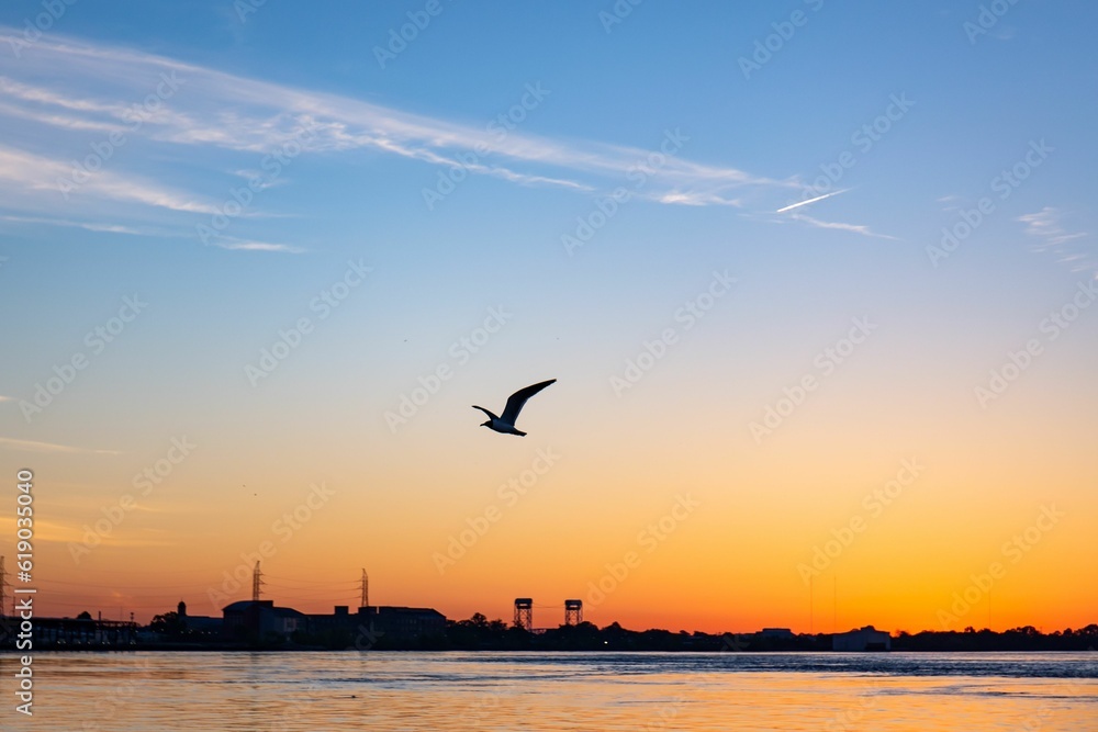 Gull flying over the Mississippi River before the shaded sunset sky