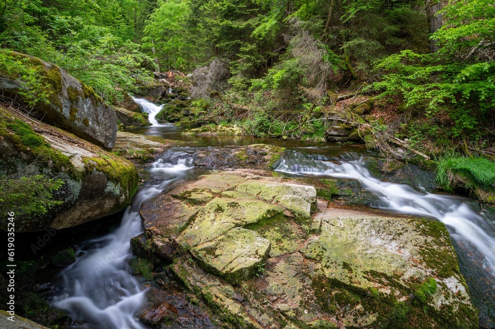 Tranquil mountain stream cutting through the lush green Ilse valley in Germany. Tranquil mountain stream cutting through the lush green Ilse valley in Germany.