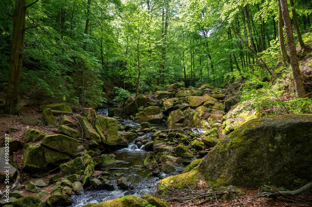 Tranquil mountain stream cutting through the lush green Ilse valley in Germany. Tranquil mountain stream cutting through the lush green Ilse valley in Germany.