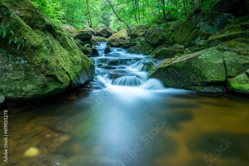 Tranquil mountain stream cutting through the lush green Ilse valley in Germany.