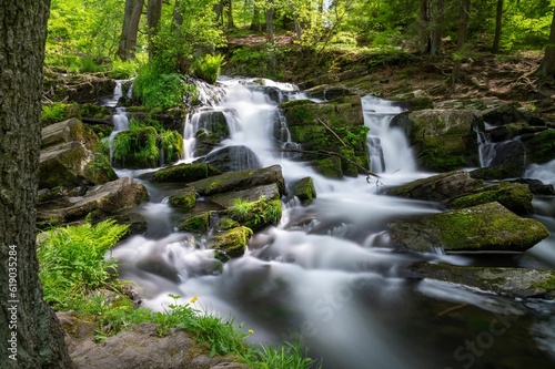 Tranquil mountain stream cutting through the lush green Ilse valley in Germany.