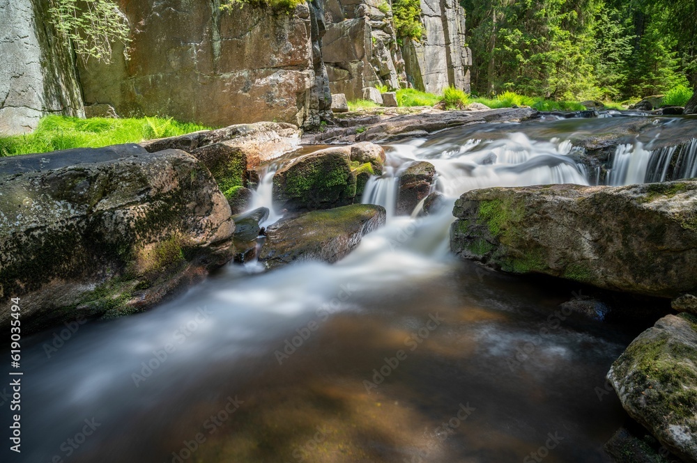 Rocky river surrounded by grass in forest Rocky river surrounded by grass in forest