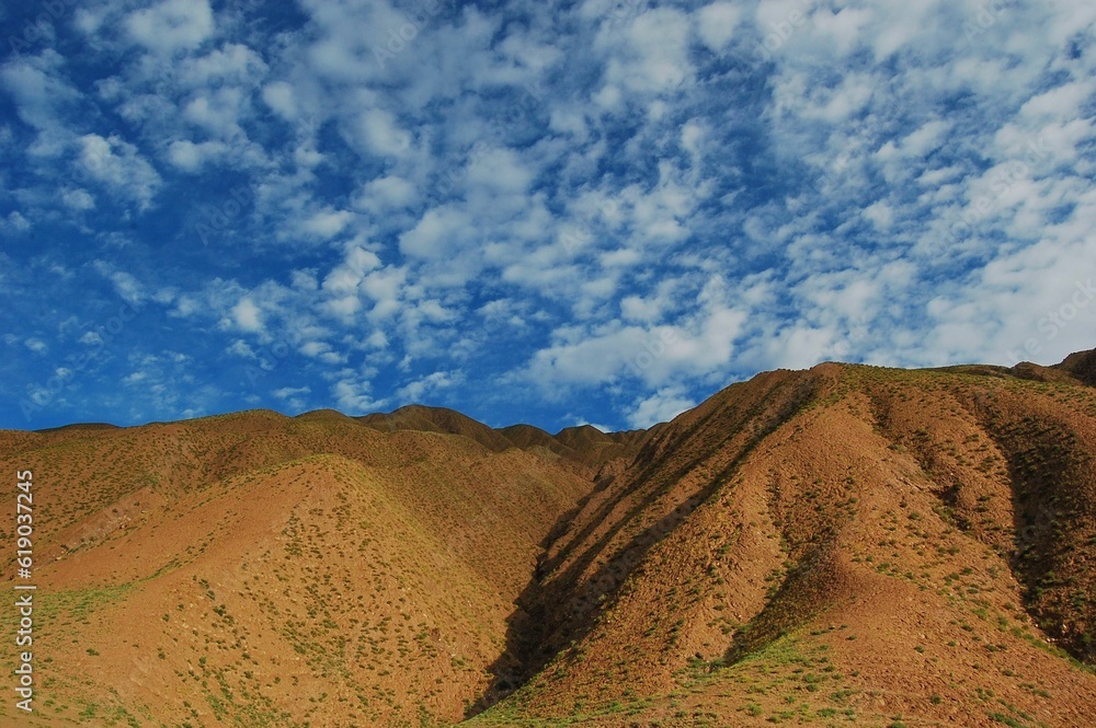 Scenic vista of a mountain range with sparse grass and trees in the foreground