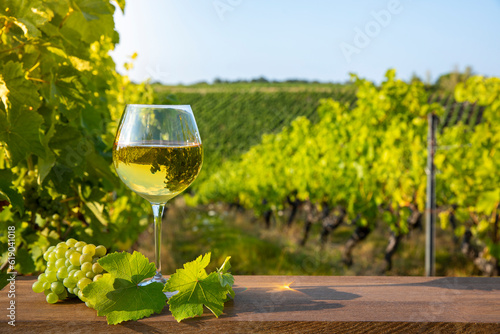 Verre de vin blanc dans un paysage de vigne après les vendanges d'automne. photo