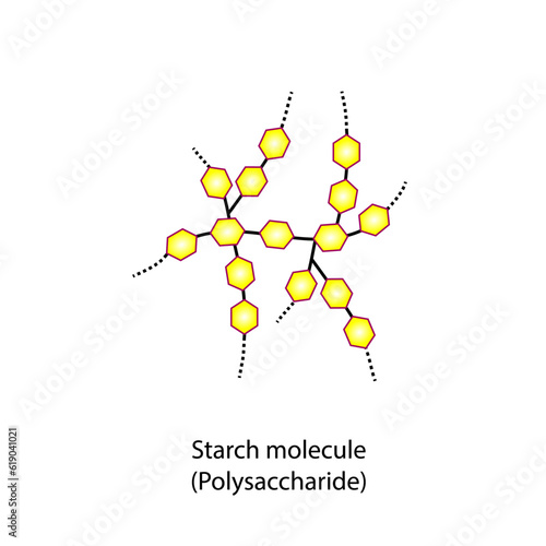 Starch molecule, Polysaccharide. Carbohydrates and Sugars Terminology. Scientific Design. Vector Illustration