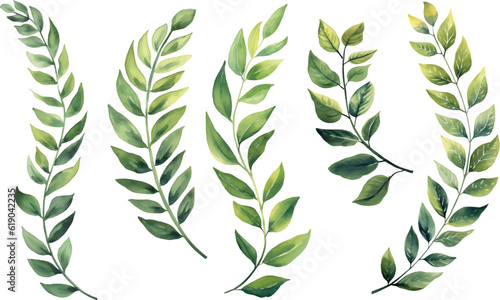 Fotografija Set of watercolor green leaves elements