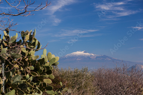 View of the Etna volcano from Morgantina. In the foreground the prickly pear plant photo
