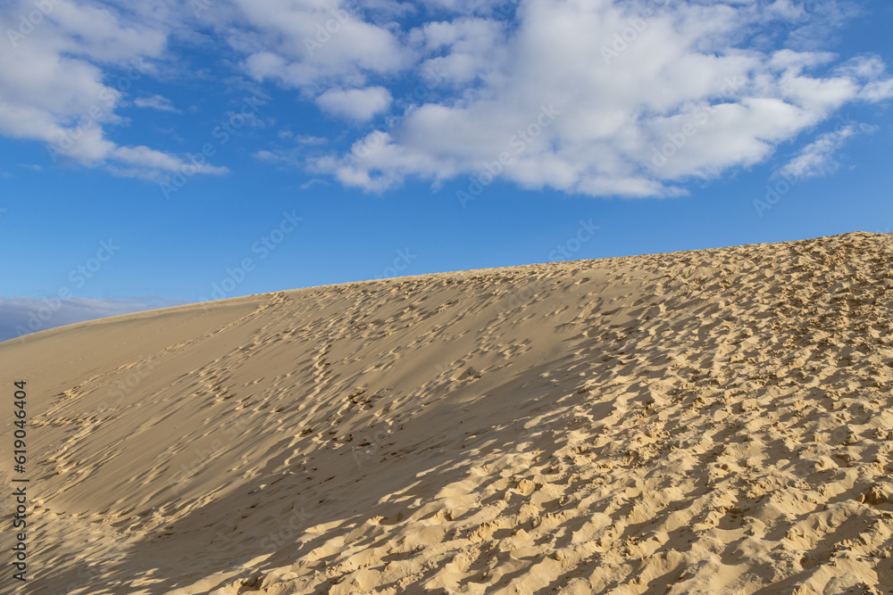 Naklejka premium The Dune of Pilat, the tallest sand dune in Europe, sunny spring day
