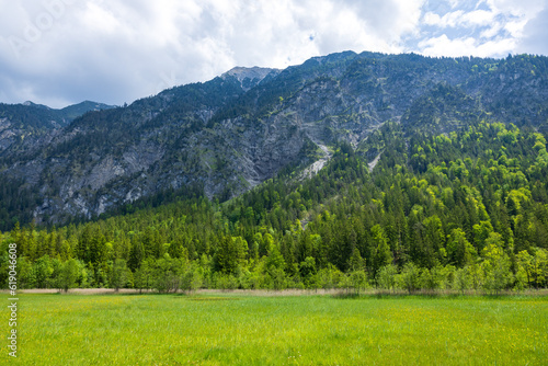 green vally and forest in the mountains