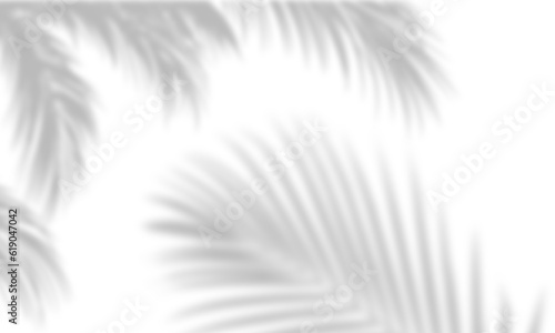 Fotografia Realistic palm leaves shadow, sunshade dynamic blow 3d render png