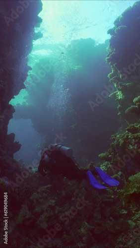 Scuba diver swims inside of coral canyon on sunny day in bright sunlight  Backlighting  Contre-jour   Back view  Red sea  Safaga  Egypt