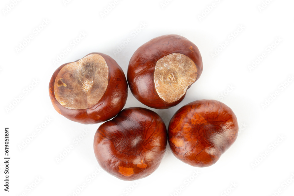 Bunch of horse chestnuts isolated on white background Bunch of horse chestnuts isolated on white background