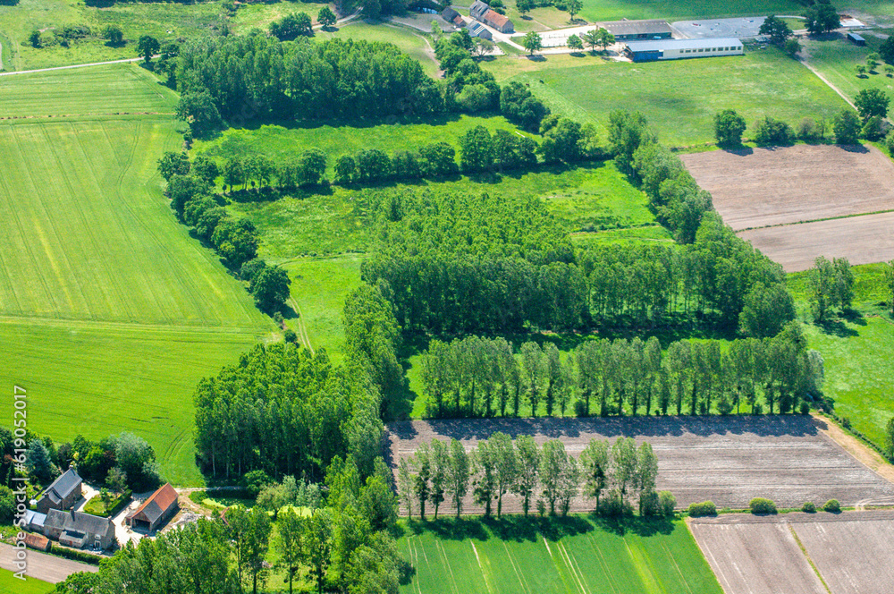 vue aérienne de plantations d'arbres dans la Baie du Mont Saint Michel