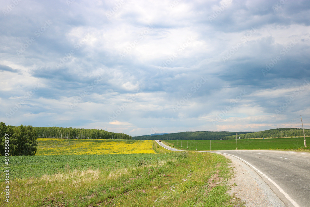 Obraz premium Asphalt road among low hills in the countryside. Rape fields. Summer landscape.