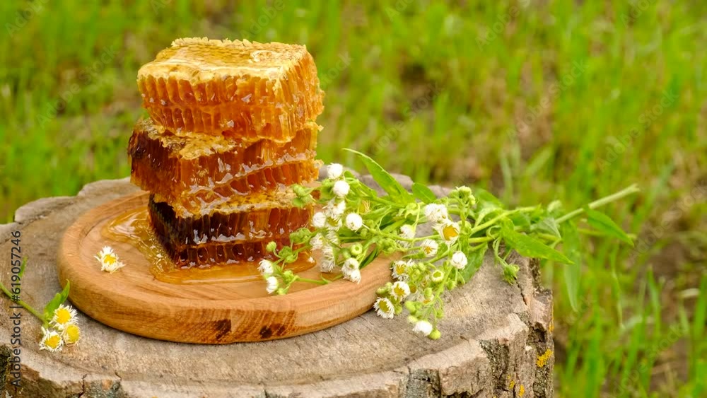 Harvest of honey in honeycombs in the garden. Selective focus. Harvest of honey in honeycombs in the garden. Selective focus.