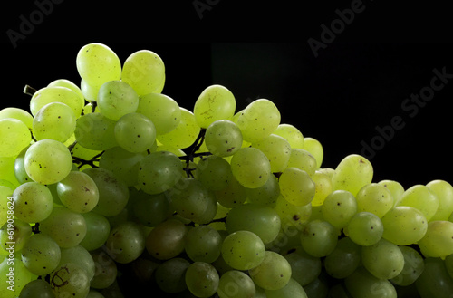 White grapes with drops of water, isolated on black background