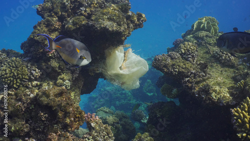 Plastic pollution  Close-up of plastic bag hanging on reef. An old white acrylic bag hung on coral reef and sways in current of water  Red sea  Egypt