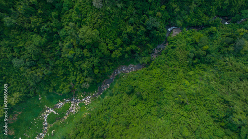 Aerial view tropical green forest and river with mountains in background, Green tree forest view from above river and forest.