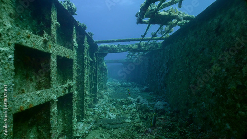 Deck grown with corals of ferry Salem Express shipwreck on blue water background, Red sea, Safaga, Egypt