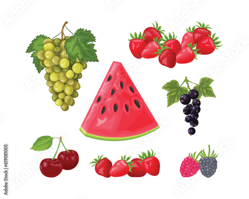 Fototapeta Naklejka Na Ścianę i Meble -  Berries. A large set with summer berries, such as watermelon, grapes, cherries and also currants, raspberries and strawberries. Summer vitamin products. Fruit set. Vector illustration