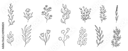 Set twigs with leaves isolated on a white background. Vector illustration in outline style. For cards, logo, decorations, invitations, cosmetic designs.