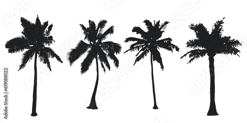 Palm trees collection. Set black silhouettes isolated on a white background. Vector illustration