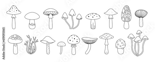 Set mushroom isolated on a white background. Vector illustration in outline style. For cards, logo, decorations, invitations, boho designs.