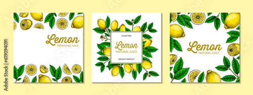 Square lemon background. Hand drawn colorful vector illustration in sketch stile. Design for packaging, logo, invitation, greeting cards
