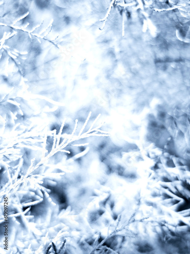 Tło zimowe © grafik Monika Janiak