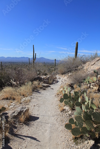 Desert