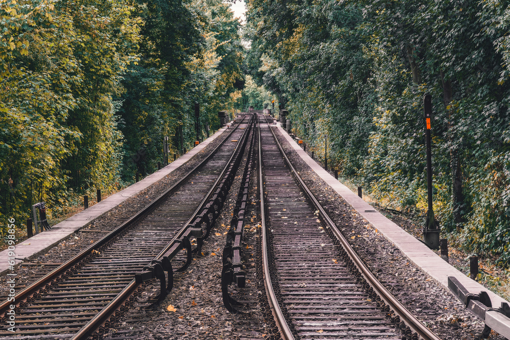 Fototapeta premium Train Tracks in the middle of a forest