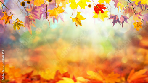 Multicolored bright autumn branches with fallen maple leaves, colorful autumn natural background