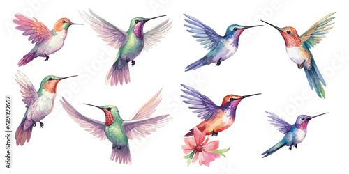Fotografia, Obraz watercolor Hummingbird clipart for graphic resources