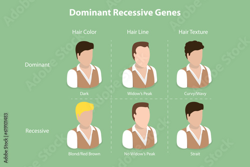 3D Isometric Flat Vector Conceptual Illustration of Dominant Recessive Genes, Educational Explanation