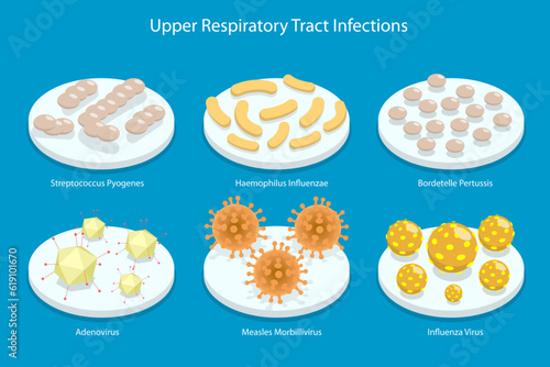 3D Isometric Flat Vector Conceptual Illustration of Upper Respiratory Tract Infection  Types of Viruses