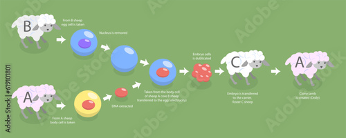 3D Isometric Flat Vector Conceptual Illustration of Animal Cloning, Biotechnology Example