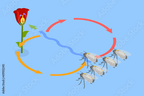 3D Isometric Flat Vector Conceptual Illustration of Bee Waggle Dance, Animal Language
