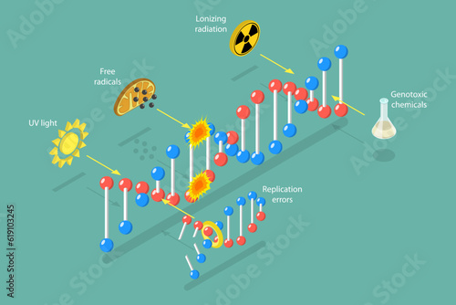 3D Isometric Flat Vector Conceptual Illustration of DNA Damage, Aging Process