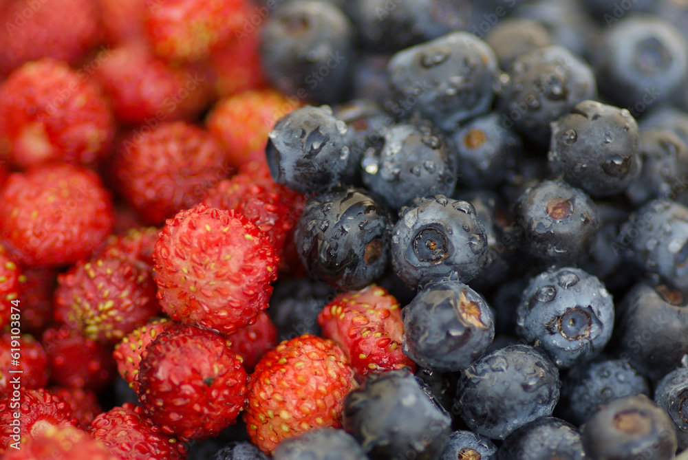 Close-up of fresh wet european blueberries and wild strawberries in summer. Close-up of fresh wet european blueberries and wild strawberries in summer.