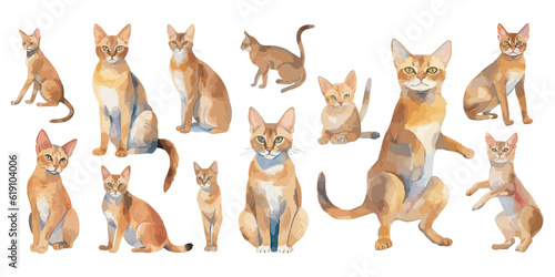 watercolor Abyssinian cat clipart for graphic resources